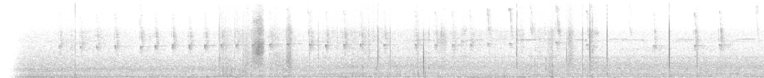 Пилоклювый колибри-отшельник - ML588673231
