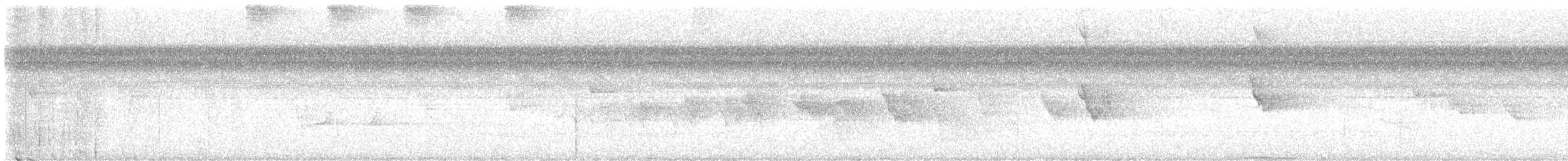 Чернохвостая гологлазка - ML588684371