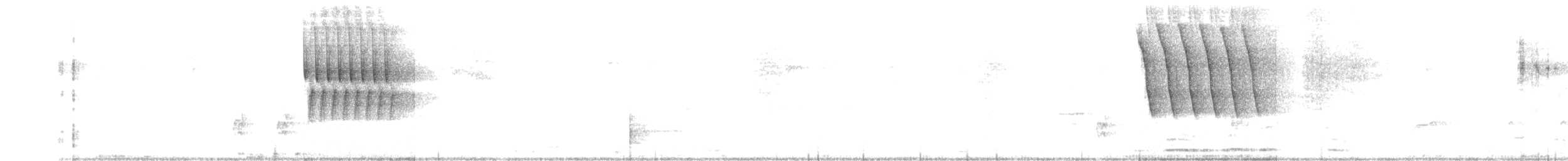 Тауї плямистий - ML588695731