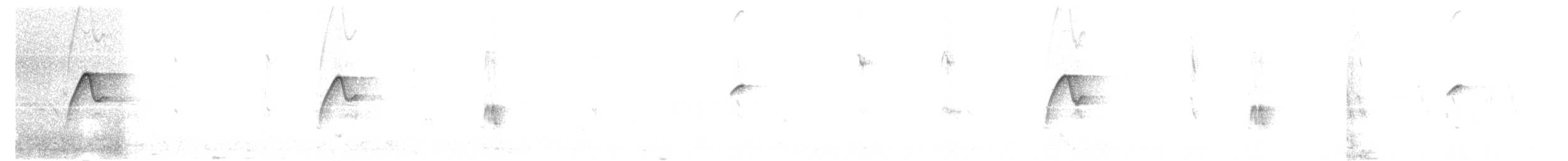 Western Flycatcher (Cordilleran) - ML588697041
