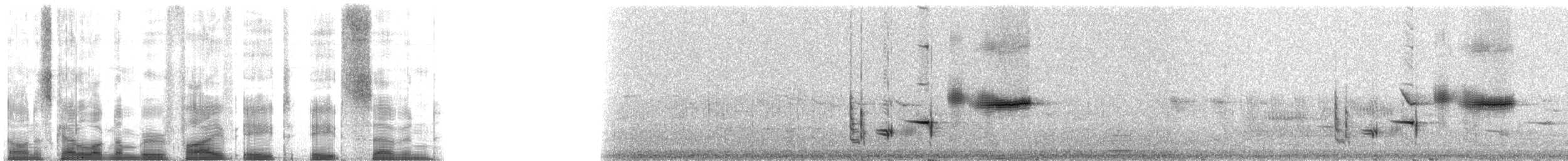 Picchion cramoisi - ML5887