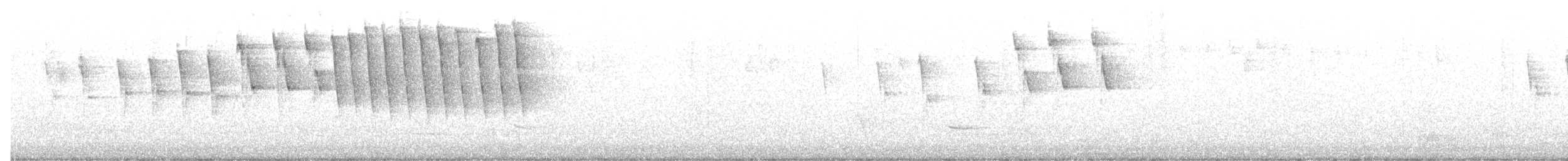 Tennessee Warbler - ML588701541