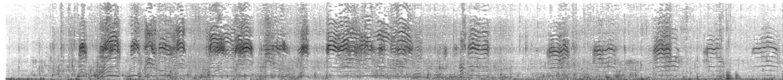 Rosafuß-Sturmtaucher - ML588731191