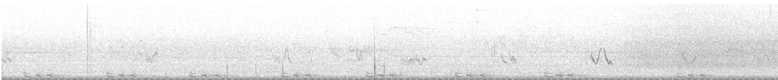 Black-billed Cuckoo - ML588767031