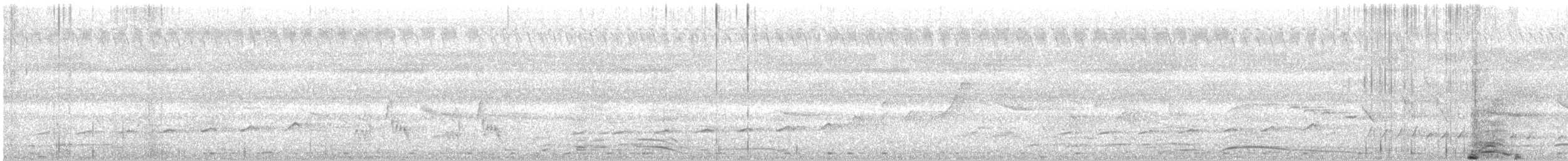 Fork-tailed Drongo-Cuckoo - ML588769411