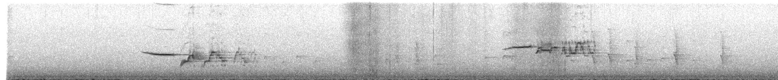Дрізд-короткодзьоб плямистоволий - ML588790981