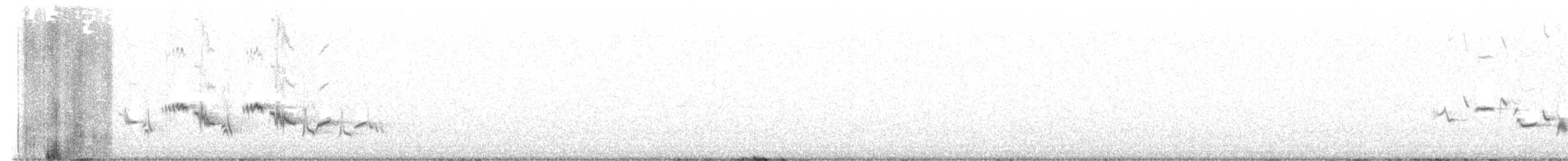 White-crowned Wheatear - ML588809711