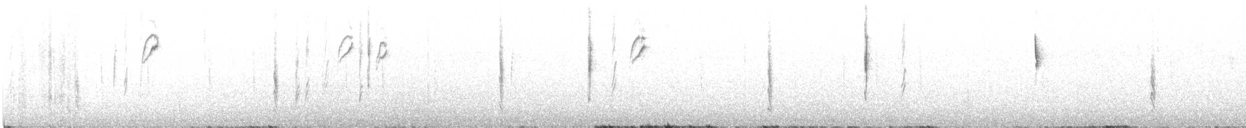 Five-striped Sparrow - ML588840601