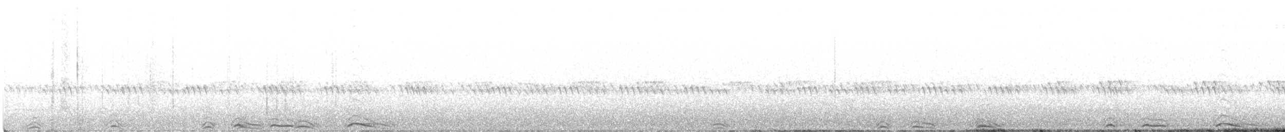 puštík západní (ssp. lucida) - ML588843091