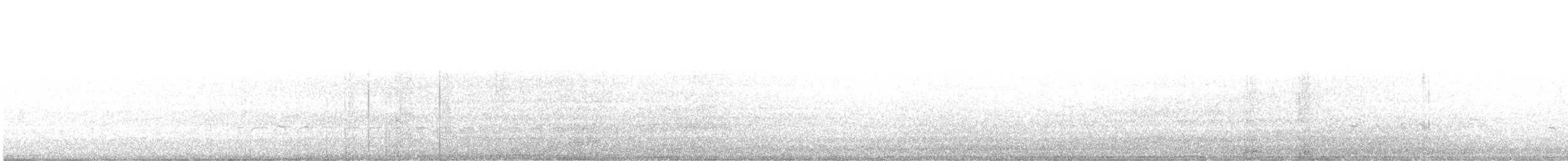 Sittelle à poitrine blanche (groupe lagunae) - ML58889421