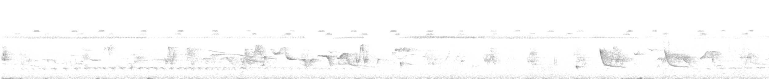 Çizgili Büyük Tiran - ML588895081