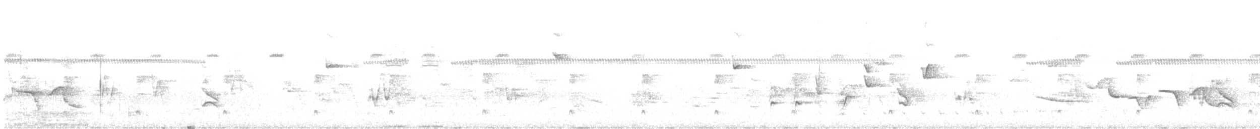 Çizgili Büyük Tiran - ML588895801