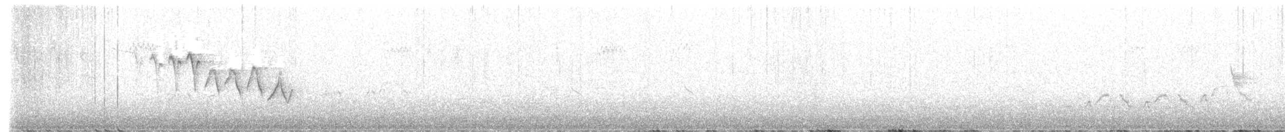 Chestnut-sided Warbler - ML588898221