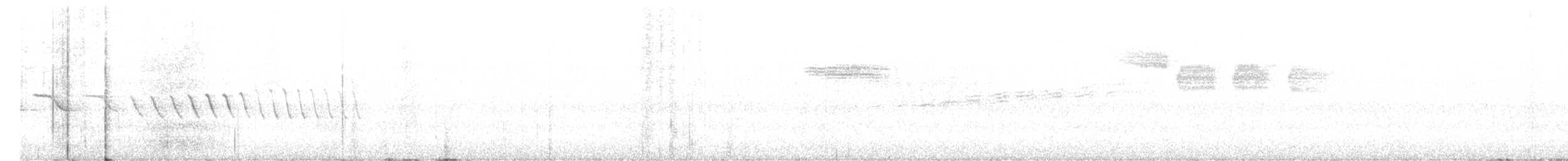 hvitbrynsvartspett - ML588898301