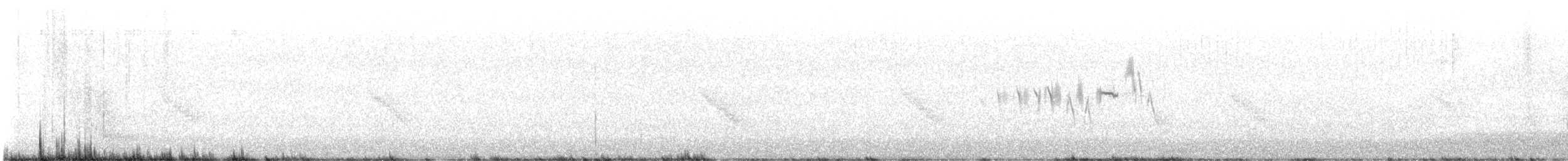 Black-throated Gray Warbler - ML588900671