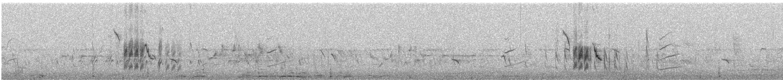 Кам’янка звичайна (підвид oenanthe/libanotica) - ML588912881
