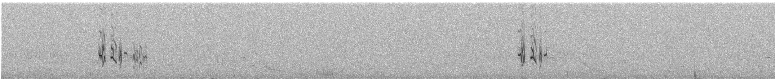 חצוצרן חרמון (מזרח תיכוני) - ML588914361