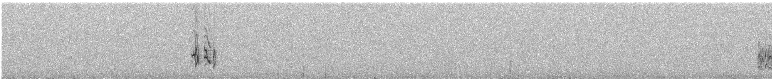 חצוצרן חרמון (מזרח תיכוני) - ML588914371