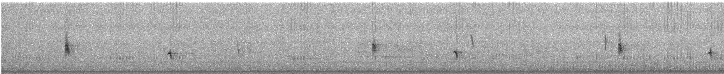 strnad šedý (ssp. semenowi) - ML588915941