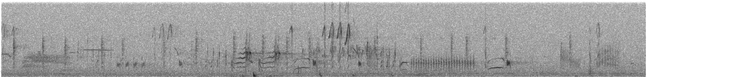 iranie bělohrdlá - ML588916151