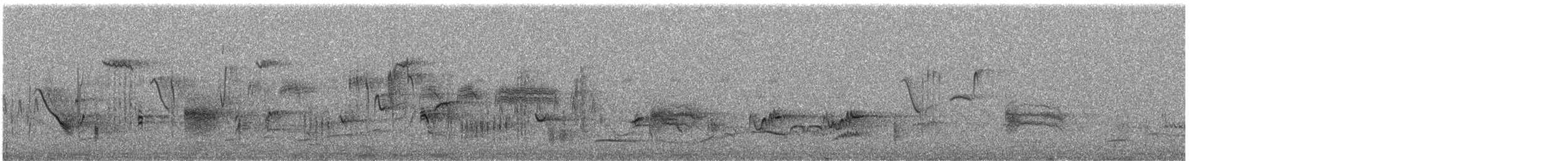 iranie bělohrdlá - ML588916161