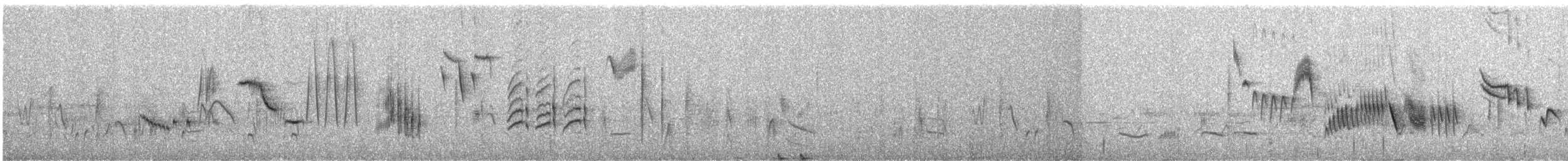 Çalı Bülbülü [galactotes grubu] - ML588916471