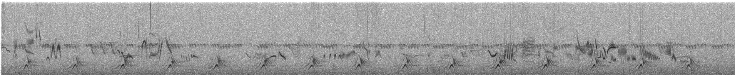 koroptev pouštní - ML588920311