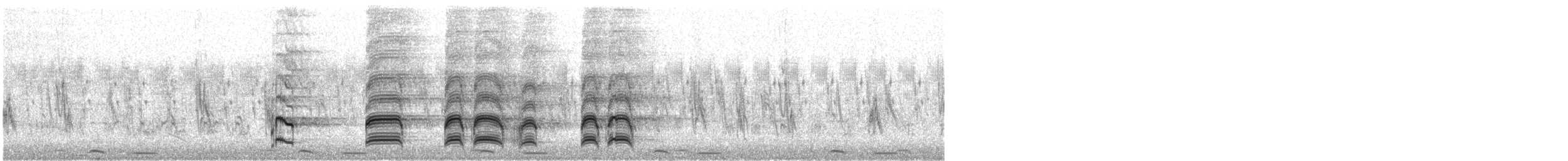 halsbåndfrankolin (francolinus/arabistanicus) - ML588920661