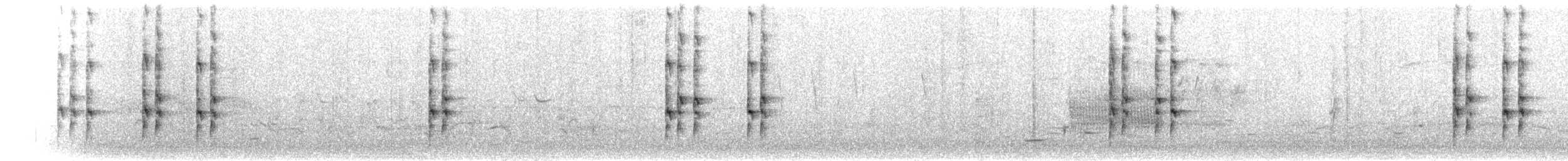 Virginia Rail - ML58893041