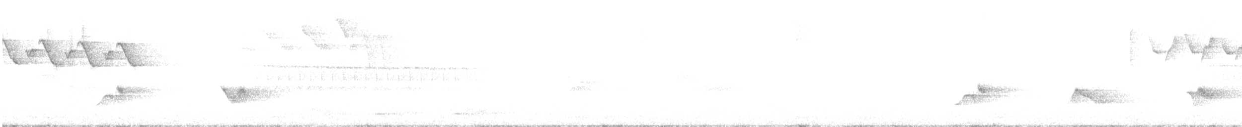 Kara Kanatlı Piranga - ML588956321