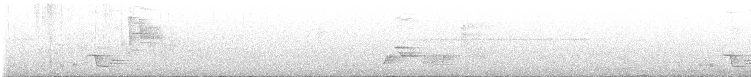 Walddrossel - ML588973591