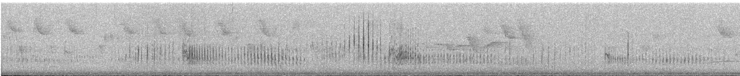 Great Dusky Swift - ML588974081