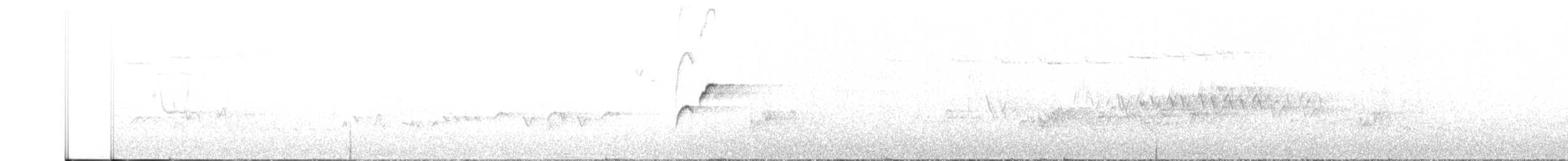 Batı Amerika Sinekkapanı (occidentalis/hellmayri) - ML589011371