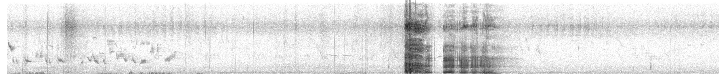 Greater Whitethroat - ML589028641