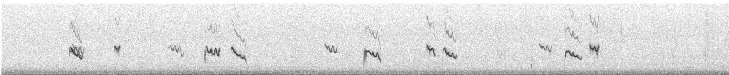 Rostspiegel-Buschtyrann - ML589098481