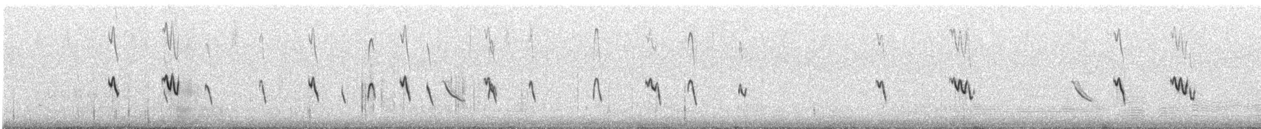 Rostspiegel-Buschtyrann - ML589098561