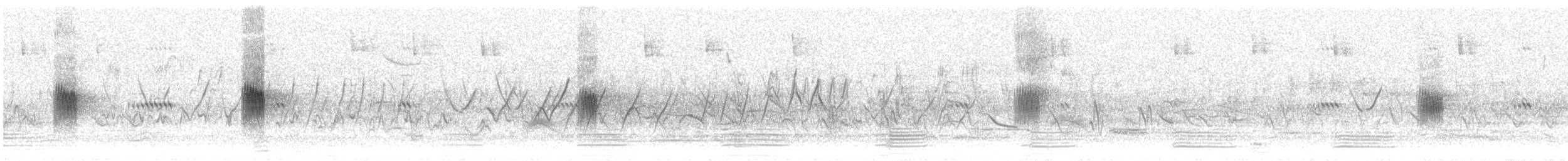 Graukehlschwalbe [serripennis-Gruppe] - ML589107781