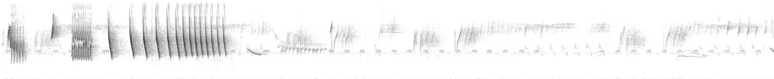 Botteri's Sparrow - ML589108031