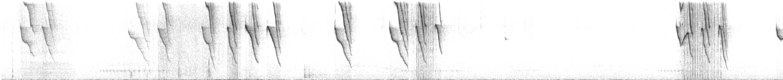 Чешуегорлый колибри-отшельник - ML589108261