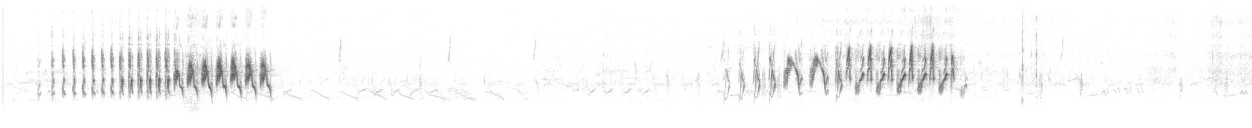 brunkroneparula (rufifrons gr.) - ML589108271