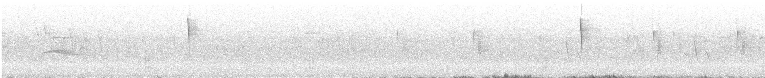 ニシモリタイランチョウ - ML589116121