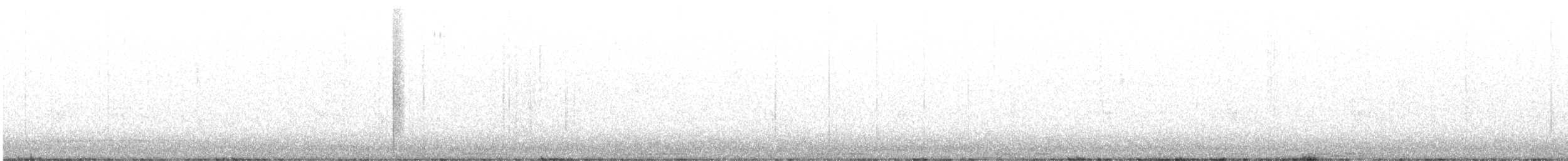 Rock Pigeon (Feral Pigeon) - ML589164321