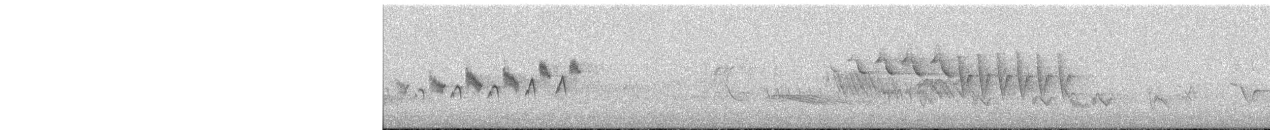Black-throated Gray Warbler - ML589178171
