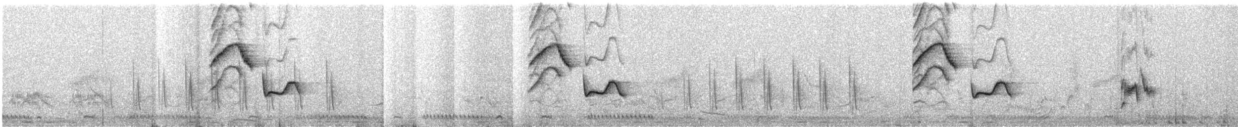 クロヒタキ - ML589179151