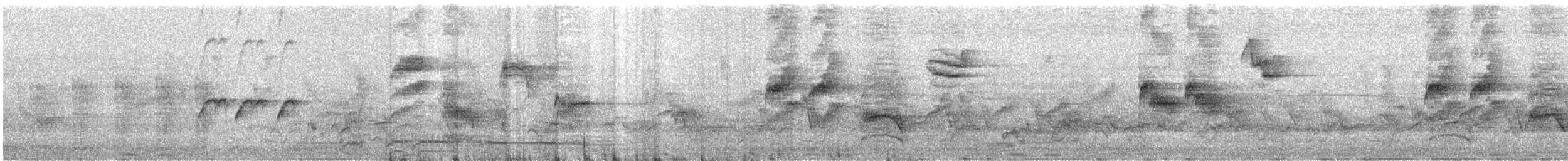 クロヒタキ - ML589179161