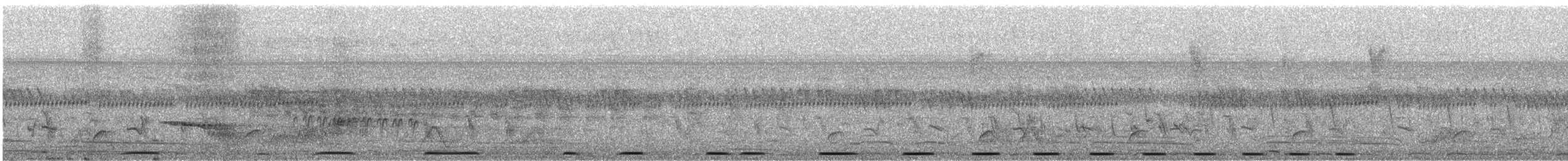 Tourtelette améthystine - ML589184801