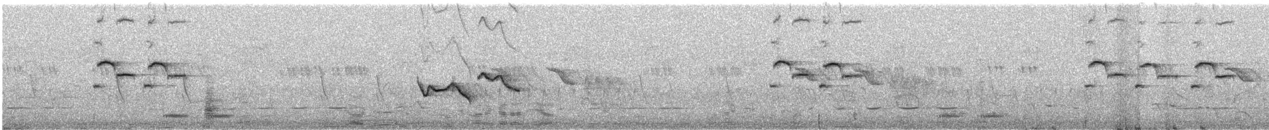 クロヒタキ - ML589188701