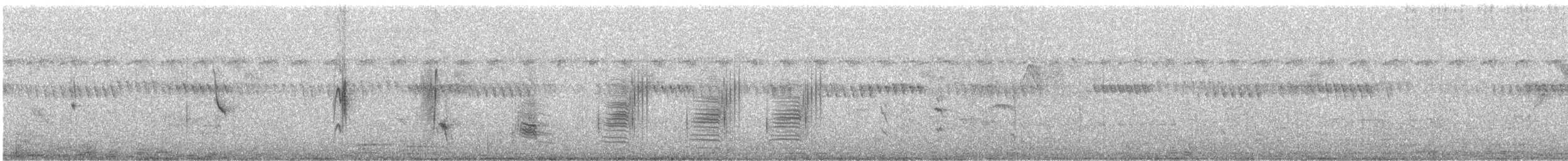 Hirondelle striée - ML589190301