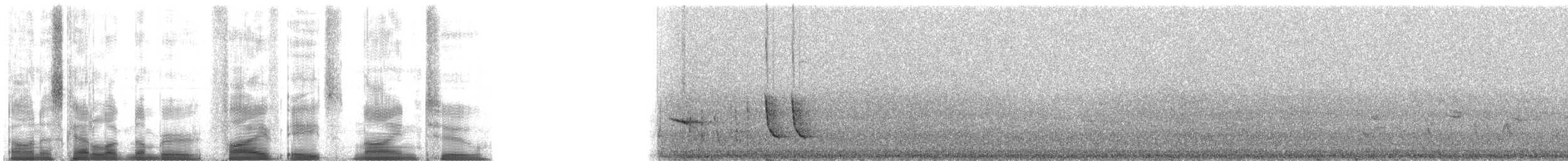 Picchion cramoisi - ML5892