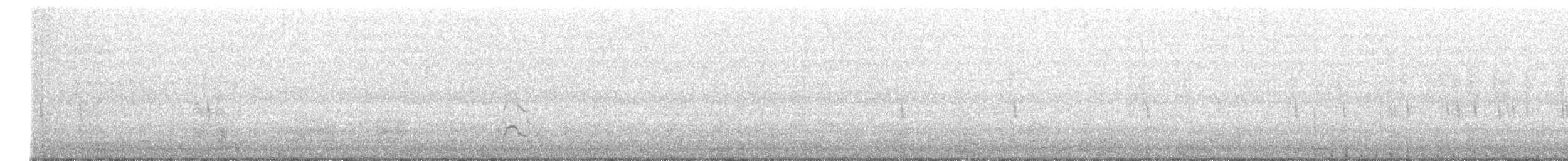 赤頸鴨 - ML589210141